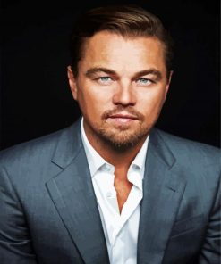 Dicaprio Leonardo paint by numbers