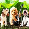 Dog Rock Band paint by numbers