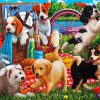 Dogs Picnic paint by number