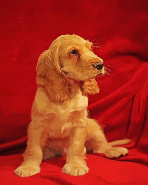 English Cocker Spaniel paint by number