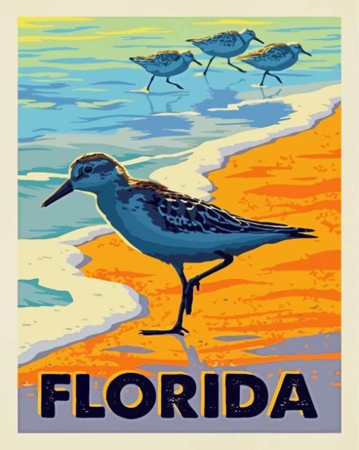 Florida Sea Birds paint by number