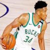 Giannis Antetokounmpo Player Paint by numbers