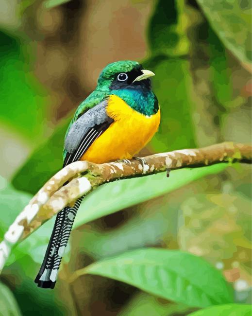 Green And Yellow Trogon paint by number