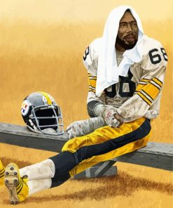 Greenwood Steelers paint by number