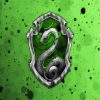 Hogwarts Harry Potter Slytherin paint by numbers