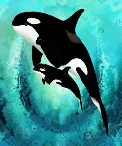 Killer Whale Fish paint by numbers