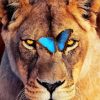 Lion And Butterfly paint by number