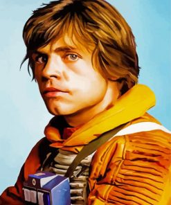 Luke Skywalker Star Wars Movie paint by numbers