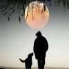 Man And Dog Silhouette paint by numbers