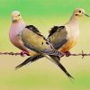 Mourning Doves paint by number