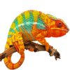 Orange Chameleon paint by numbers