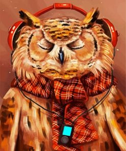 Owl Listening To Music paint by numbers