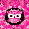 Pink Owl paint by number