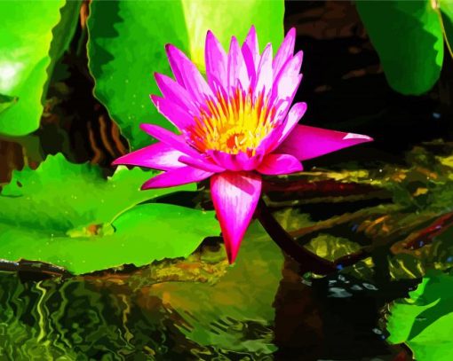 Pink Water lilly paint by numbers