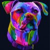 Pitbull Colorful Dog paint by number