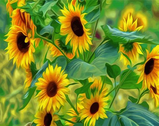 Sunflowers Art paint by numbers