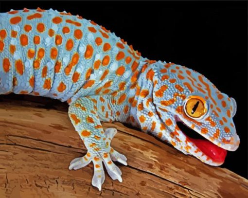 Tokay Gecko paint by number