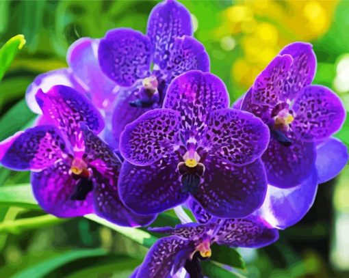 Vanda Orchid paint by number