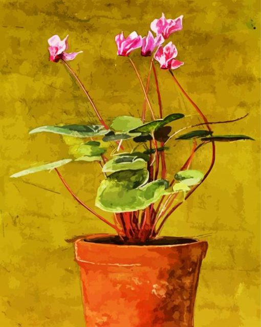 Vintage Pink Cyclamen paint by number