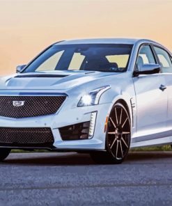 White Cts V Car paint by number