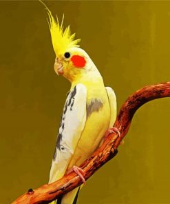 Yellow Cockatiel paint by numbers