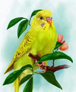 Yellow Budgerigar paint by number