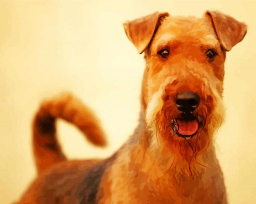 Airedale Terrier Animal paint by number