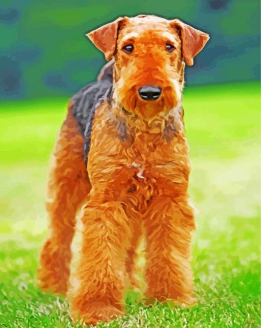 Airedale Terrier Brown Dog paint by number