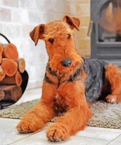 Airedale Terrier Dog paint by number