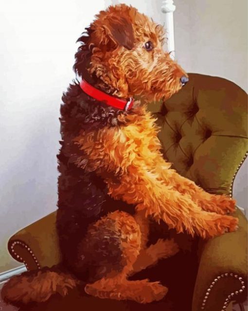 Airedale Terrier Sitting paint by number