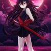 Akame Ga Kill Akame Character paint by number