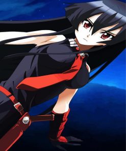 Akame Anime Girl paint by number