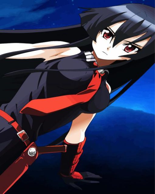 Akame Anime Girl paint by number