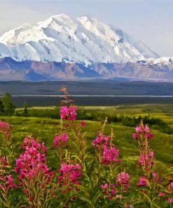 Alaska Denali Mountain paint by number