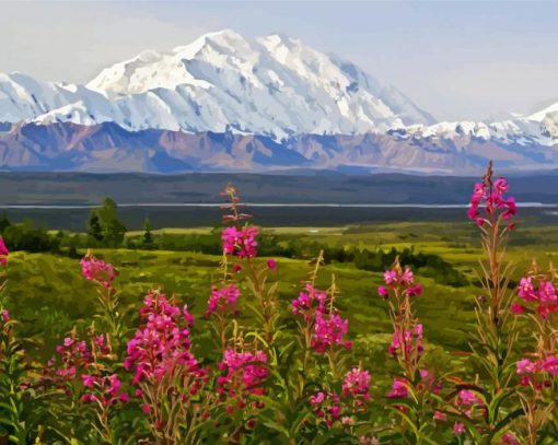 Alaska Denali Mountain paint by number