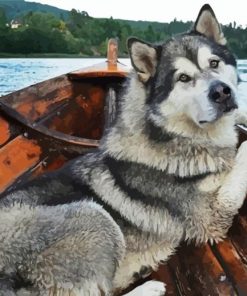 Alaskan Malamute Dog paint by number