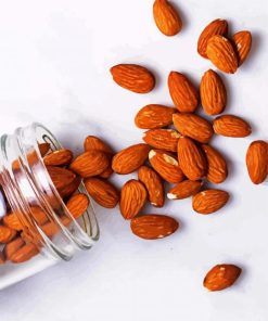 Almonds In Jar paint by number