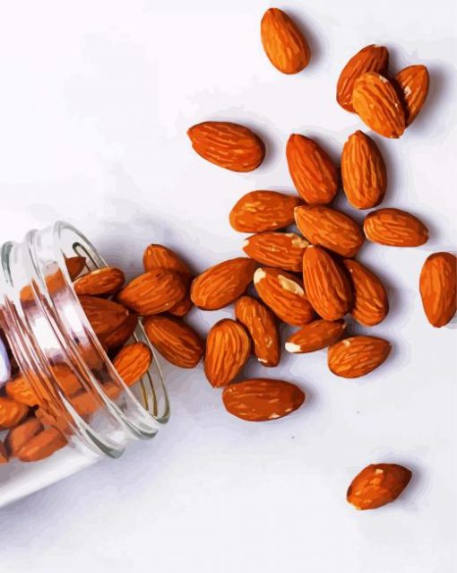 Almonds In Jar paint by number