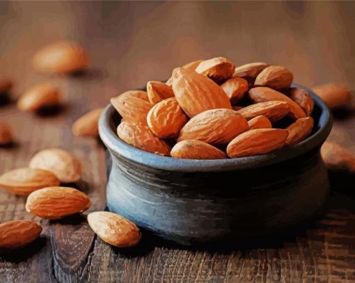 Almonds paint by number