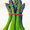 Asparagus Art paint by numbers