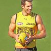 Australian Football League Player paint by numbers