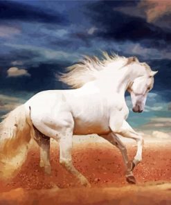 Beautiful White Andalusian Horse paint by number