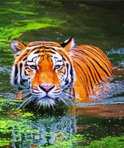 Bengal Tiger Swimming paint by number