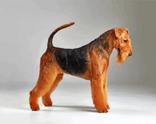 Black And Brown Airedale Terrier paint by number