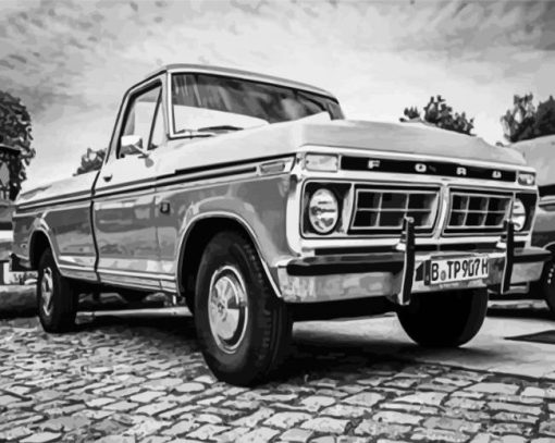 Black And White Ranchero paint by number