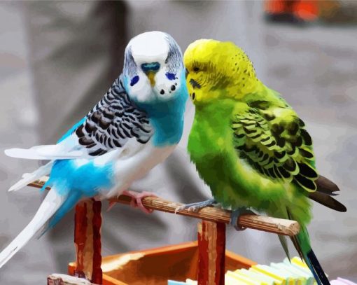 Blue And Green Parakeet Budgerigars paint by number