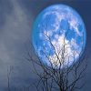 Blue Full Moon paint by number