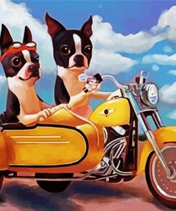 Boston Terrier Riding A Motocycle paint by numbers