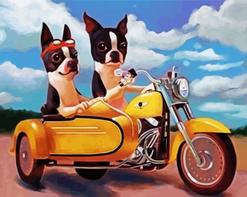 Boston Terrier Riding A Motocycle paint by numbers