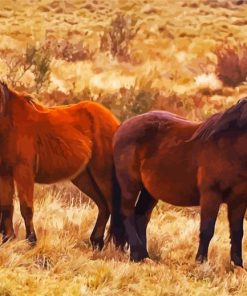 Brumby Horses Herd paint by number